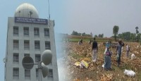 তীব্র তাপপ্রবাহের কারণে সারাদেশে হিট অ্য...